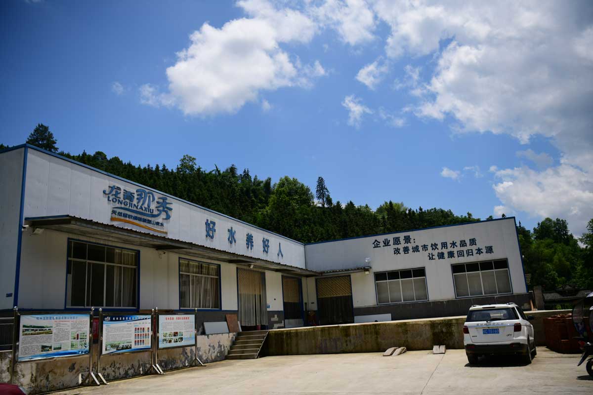 何首乌